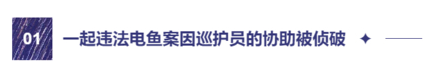 深读 | 八百里皖江“护豚记”