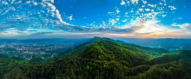 130余幅生态艺术作品背后的动人故事 130余幅生态艺术作品背后的动人故事