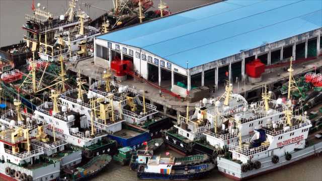 温岭如何从靠海吃海到向海而兴？