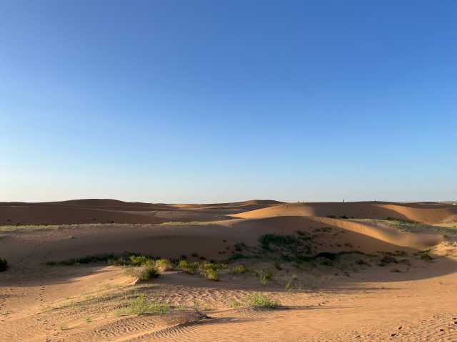 马彦伟：把自己“种”在沙漠里