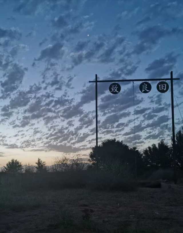 马彦伟：把自己“种”在沙漠里