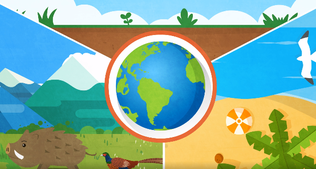 碳源、碳汇是什么?碳又是怎么循环的呢? 碳源、碳汇是什么?碳又是怎么循环的呢?