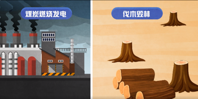 碳源、碳汇是什么?碳又是怎么循环的呢? 碳源、碳汇是什么?碳又是怎么循环的呢?