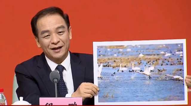 生态好了,小天鹅又回来了!上海推动人与自然和谐共生成效显著 生态好了,小天鹅又回来了!上海推动人与自然和谐共生成效显著