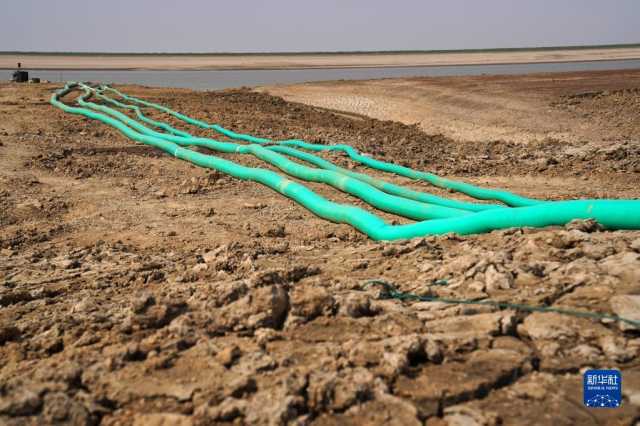 鄱阳湖：为候鸟“留水”