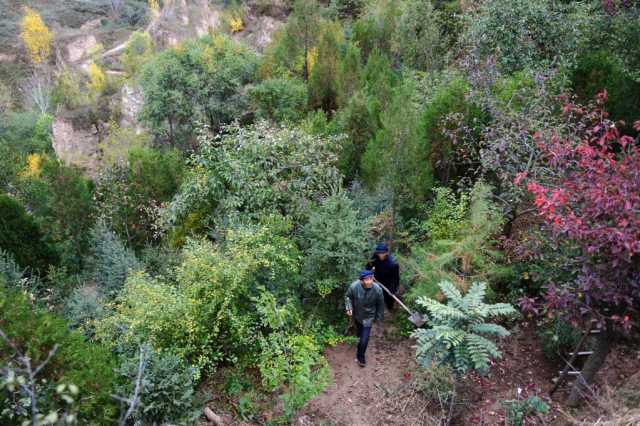江河奔腾看中国丨黄河奔流泽陇原——甘肃绘就黄河保护治理新画卷 江河奔腾看中国丨黄河奔流泽陇原——甘肃绘就黄河保护治理新画卷