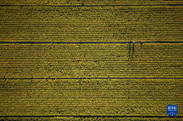 从松花江到辽河：生态发展新画卷
