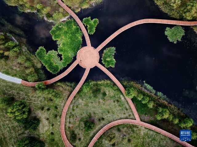 从松花江到辽河：生态发展新画卷