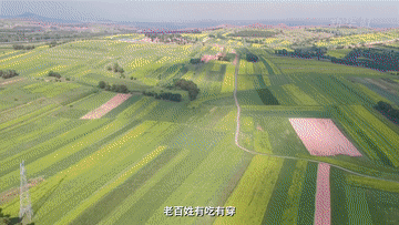 江河奔腾看中国·黄河行丨山西右玉：“不毛之地”的生态奇迹