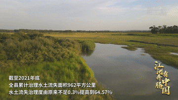 江河奔腾看中国·黄河行丨山西右玉：“不毛之地”的生态奇迹