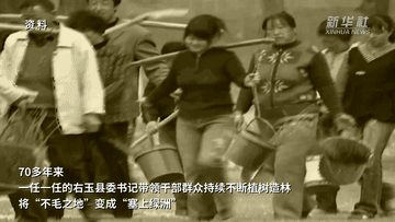 江河奔腾看中国·黄河行丨山西右玉：“不毛之地”的生态奇迹