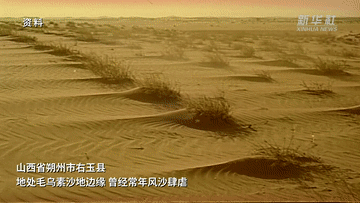 江河奔腾看中国·黄河行丨山西右玉：“不毛之地”的生态奇迹