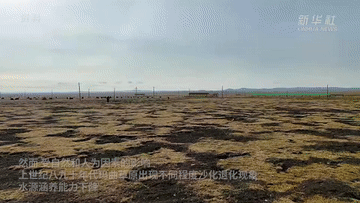 江河奔腾看中国·黄河行|甘肃玛曲:构筑生态屏障 涵养黄河水源 江河奔腾看中国·黄河行|甘肃玛曲:构筑生态屏障 涵养黄河水源