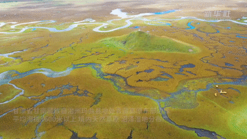 江河奔腾看中国·黄河行|甘肃玛曲:构筑生态屏障 涵养黄河水源 江河奔腾看中国·黄河行|甘肃玛曲:构筑生态屏障 涵养黄河水源