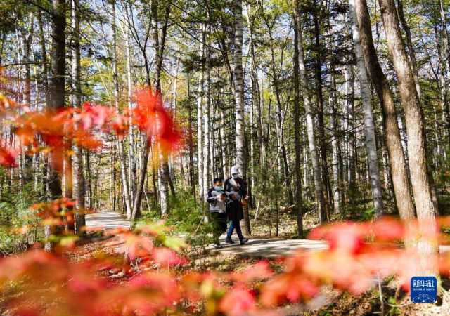 吉林：秋景如画
