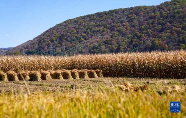 吉林：秋景如画