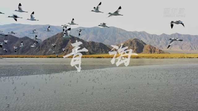 “欢度国庆·美丽中国”主题报道丨假期里邂逅“绿水青山”