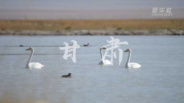 “欢度国庆·美丽中国”主题报道丨假期里邂逅“绿水青山”