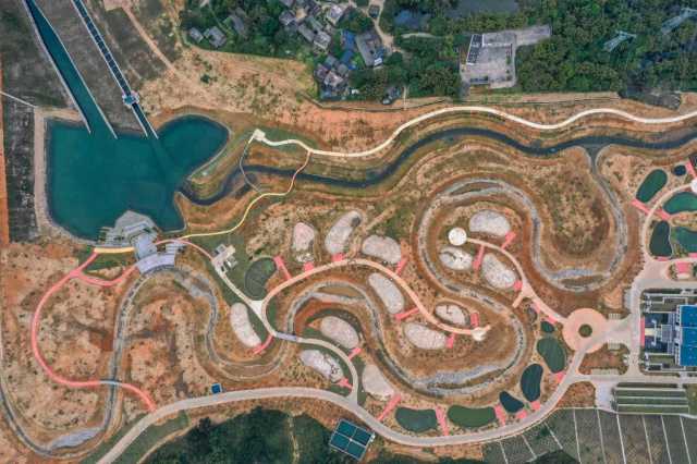 新华全媒+|西江大藤峡鱼道的“生态守护经”