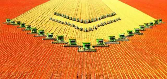 新华全媒＋丨“丰景”喜人！黑龙江农业观光游火热