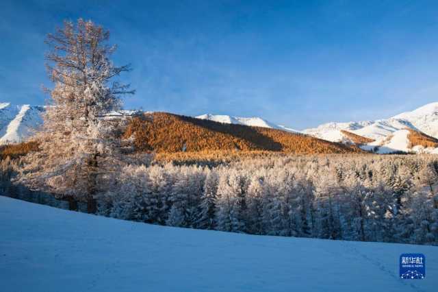 新华全媒+丨多彩神州 大美中国