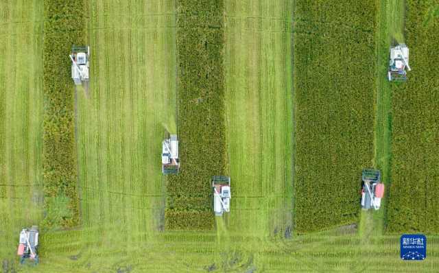 新华全媒+丨多彩神州 大美中国