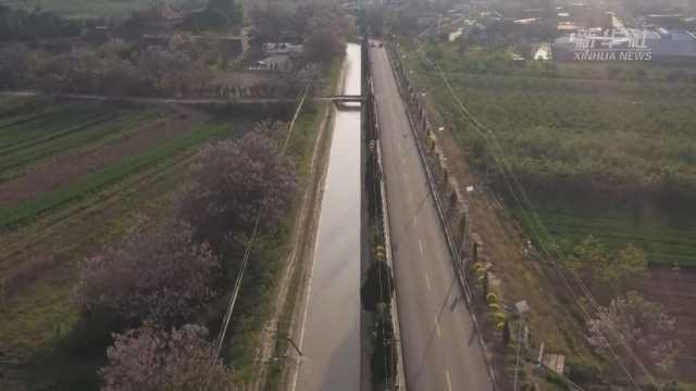 引黄节水高灌：精打细算用好黄河水资源