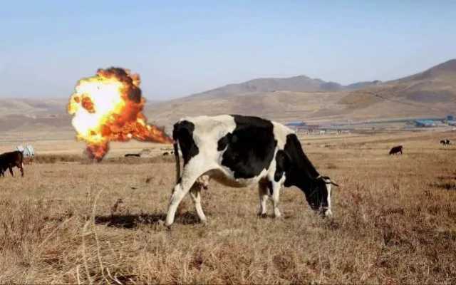 新西兰提议对农场动物打嗝、撒尿排放征税,中国“奶业”如何选择? 新西兰提议对农场动物打嗝、撒尿排放征税,中国“奶业”如何选择?