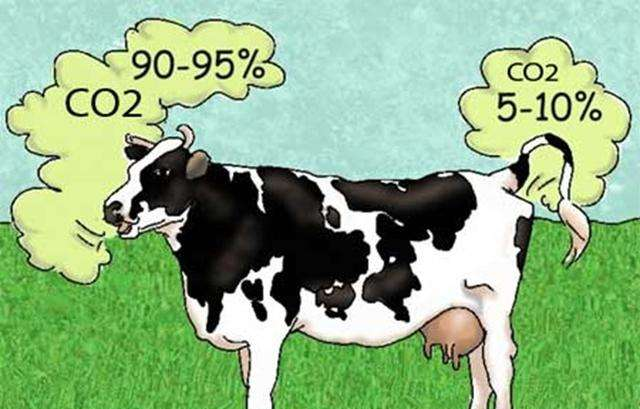 新西兰提议对农场动物打嗝、撒尿排放征税,中国“奶业”如何选择? 新西兰提议对农场动物打嗝、撒尿排放征税,中国“奶业”如何选择?