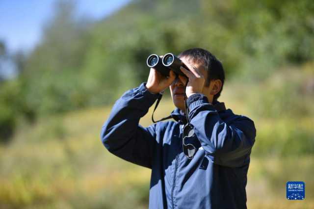新华全媒+丨陕西宁陕:守护秦岭绿色 建设多彩田园 新华全媒+丨陕西宁陕:守护秦岭绿色 建设多彩田园
