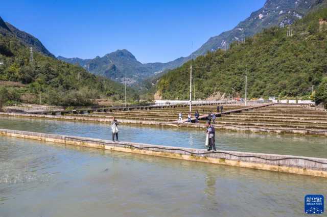 盘活天然冷水资源发展特色养殖产业 盘活天然冷水资源发展特色养殖产业