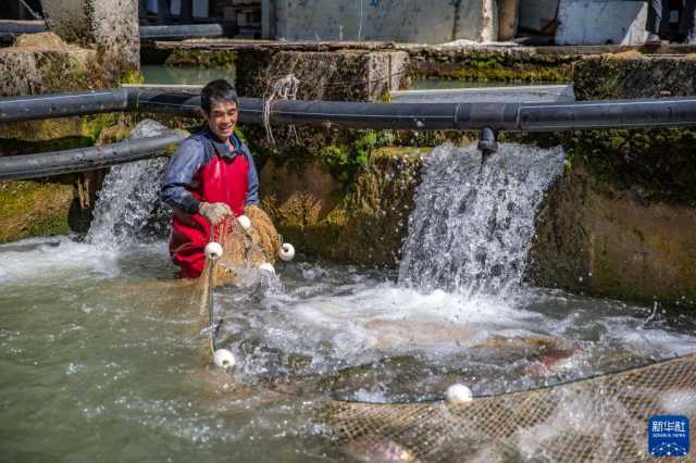 盘活天然冷水资源发展特色养殖产业 盘活天然冷水资源发展特色养殖产业