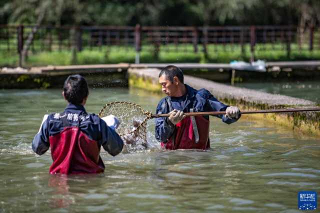 盘活天然冷水资源发展特色养殖产业 盘活天然冷水资源发展特色养殖产业