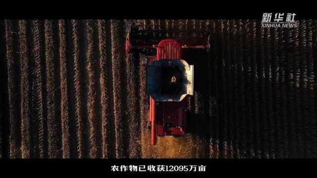 新华全媒+|产粮大省黑龙江开足马力保丰产 新华全媒+|产粮大省黑龙江开足马力保丰产