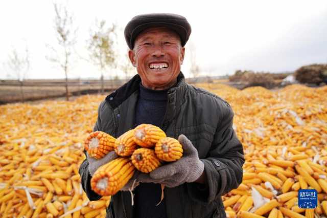 黑龙江拜泉：丰收整地两不误