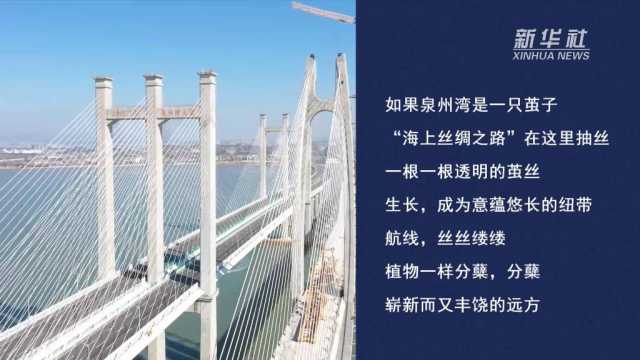 新时代之桥丨湛蓝·福建泉州湾跨海大桥
