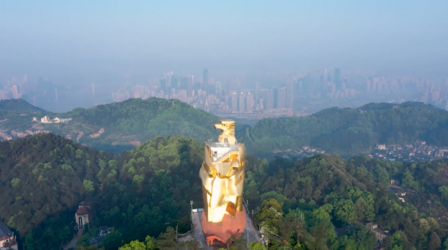 全球连线｜生态修复让山水重庆成为“鹰飞之城”