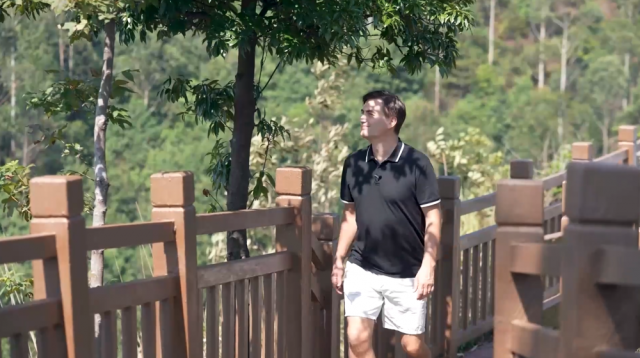 全球连线｜生态修复让山水重庆成为“鹰飞之城”