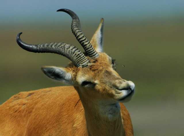 热议二十大|生态环境特邀观察员葛玉修：为促进人与自然和谐共生贡献力量