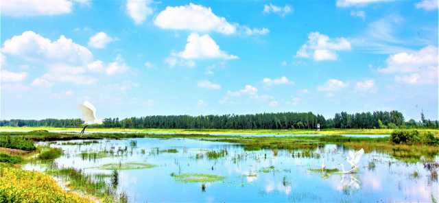 江苏睢宁:好日子就在绿水青山里 江苏睢宁:好日子就在绿水青山里