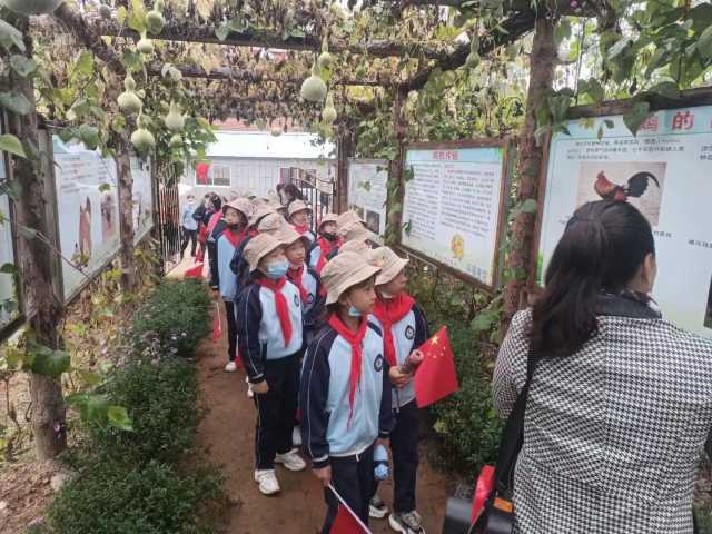 在农场里做“小菜农”!吉林辽源开展绿色研学实践活动 在农场里做“小菜农”!吉林辽源开展绿色研学实践活动