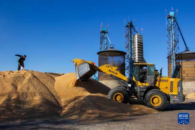 新华全媒+丨内蒙古通辽玉米迎丰收