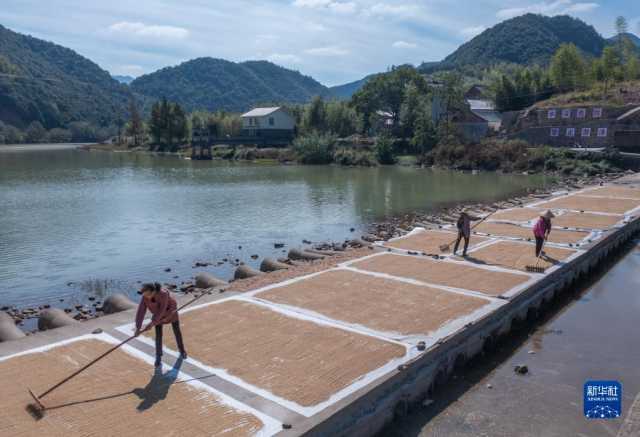 新华全媒+｜鱼米之乡喜迎丰收