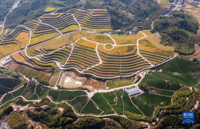 新华全媒+｜鱼米之乡喜迎丰收