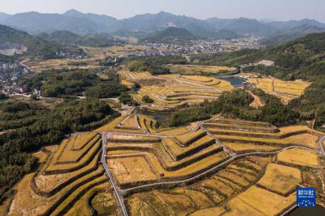 新华全媒+｜鱼米之乡喜迎丰收