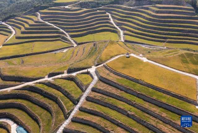 新华全媒+｜鱼米之乡喜迎丰收