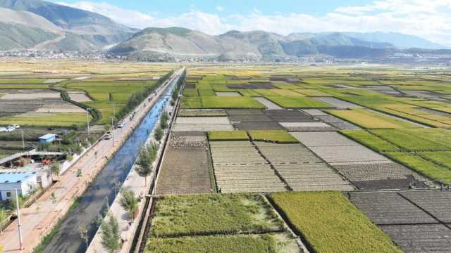 新华全媒+丨云南秋收见闻：“稻+”模式助力生态增收