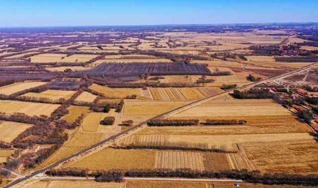 新华全媒+丨遍野金黄丰收忙——内蒙古通辽千万亩玉米种植区秋收见闻 新华全媒+丨遍野金黄丰收忙——内蒙古通辽千万亩玉米种植区秋收见闻