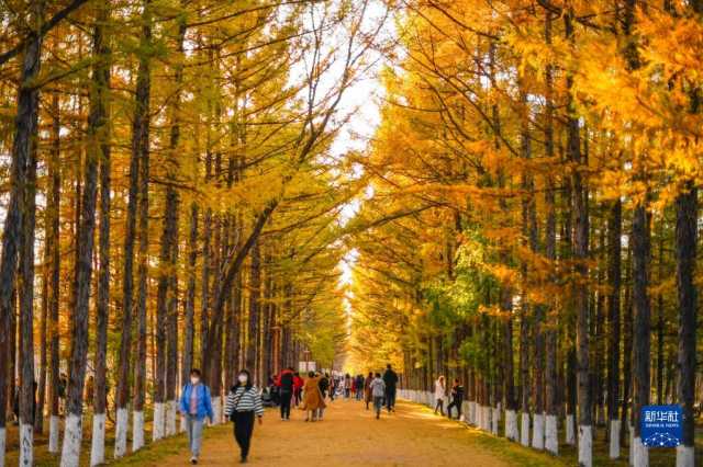 长春秋景如画 长春秋景如画