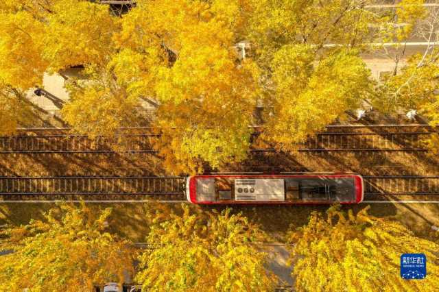 长春秋景如画 长春秋景如画